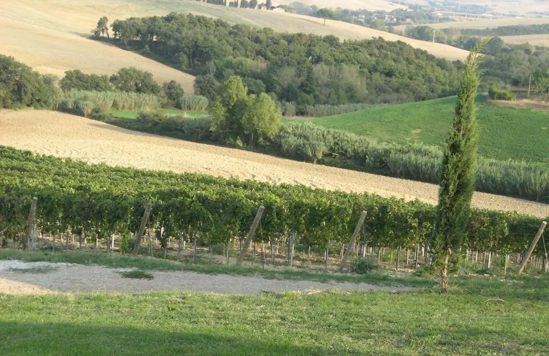 Agriturismo Cappellese-1
